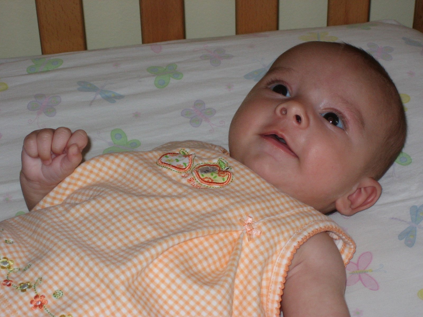 [IMG_2924.JPG]