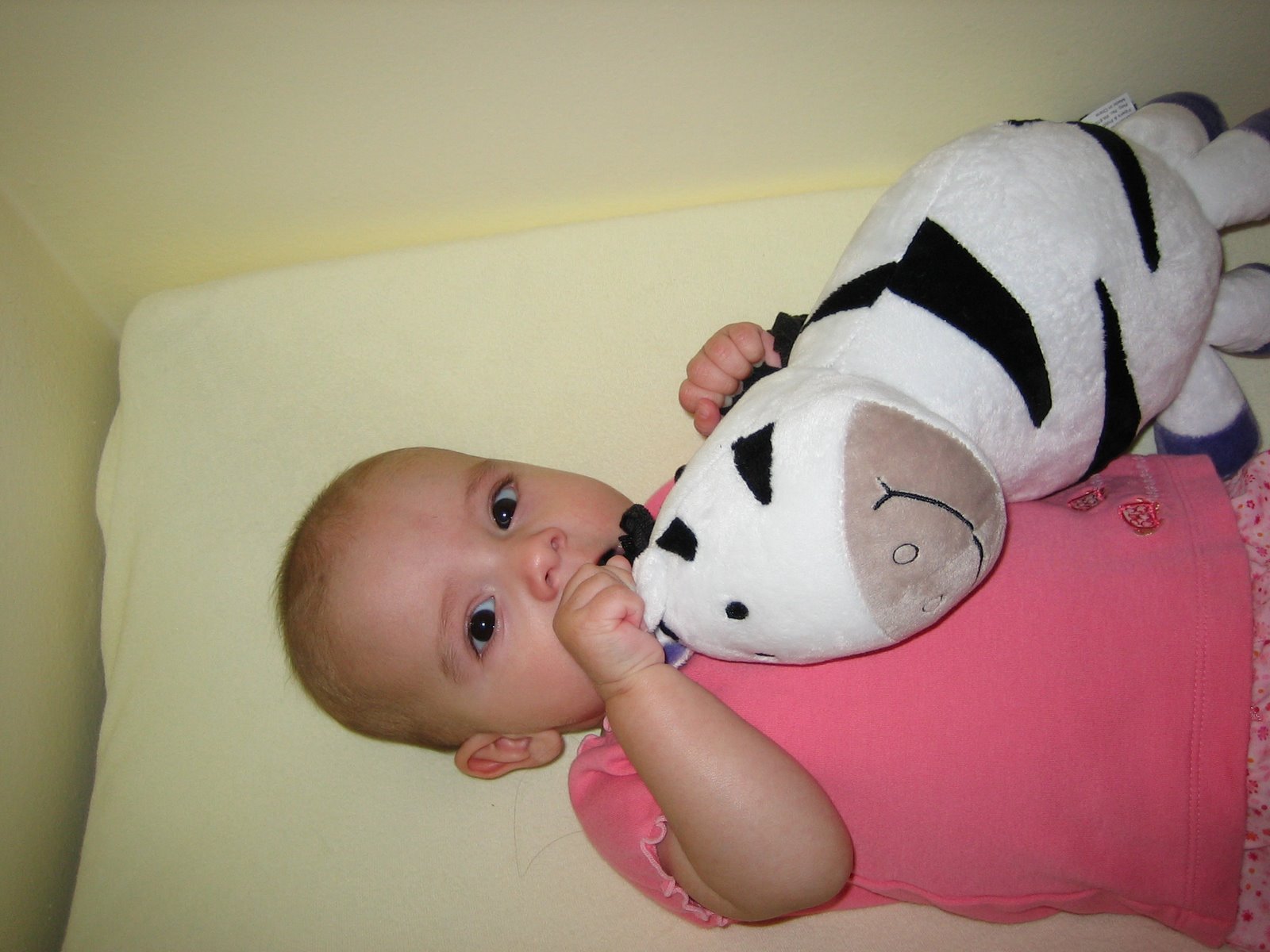 [IMG_3524.JPG]