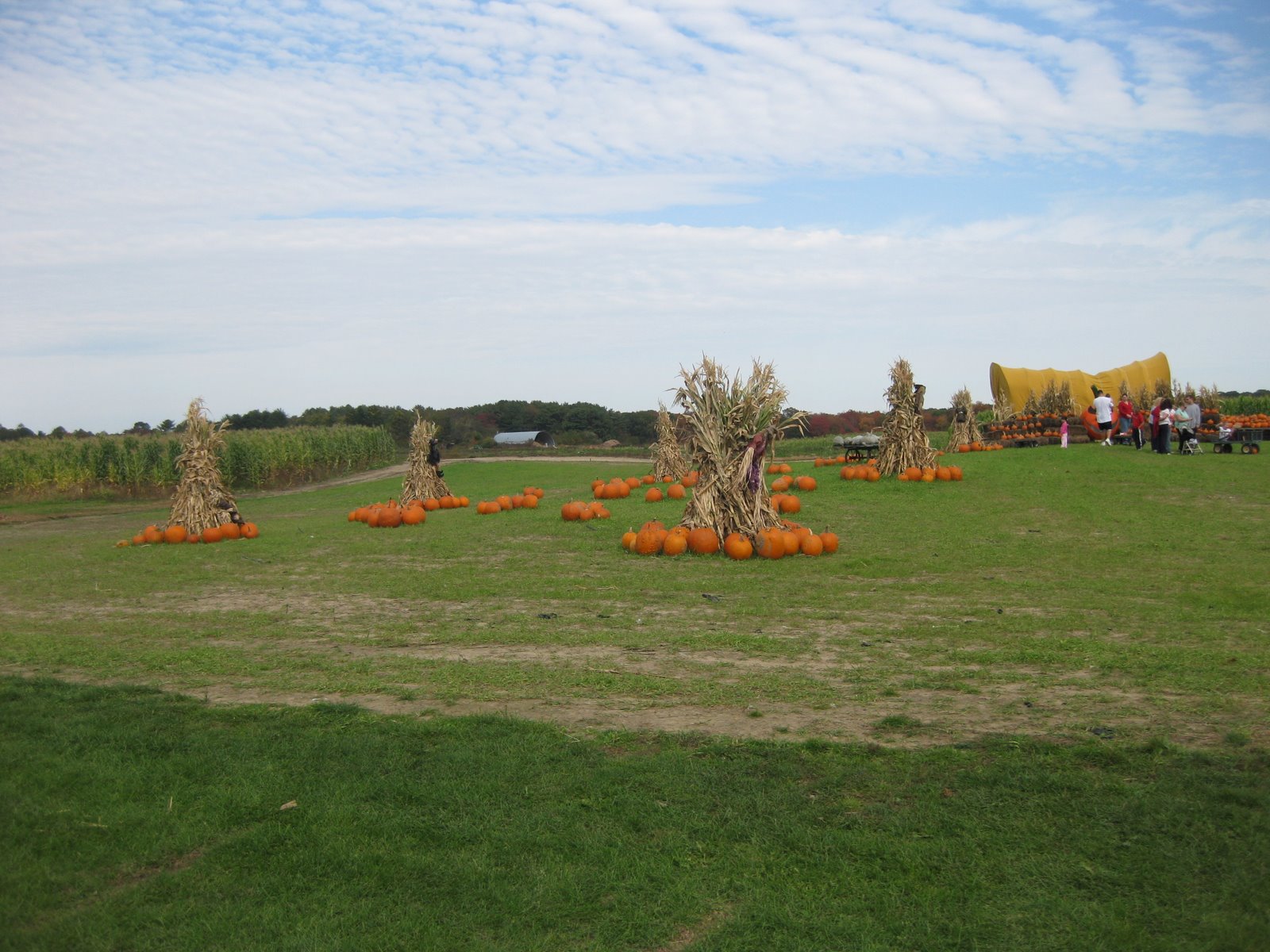 [IMG_7445.jpg]