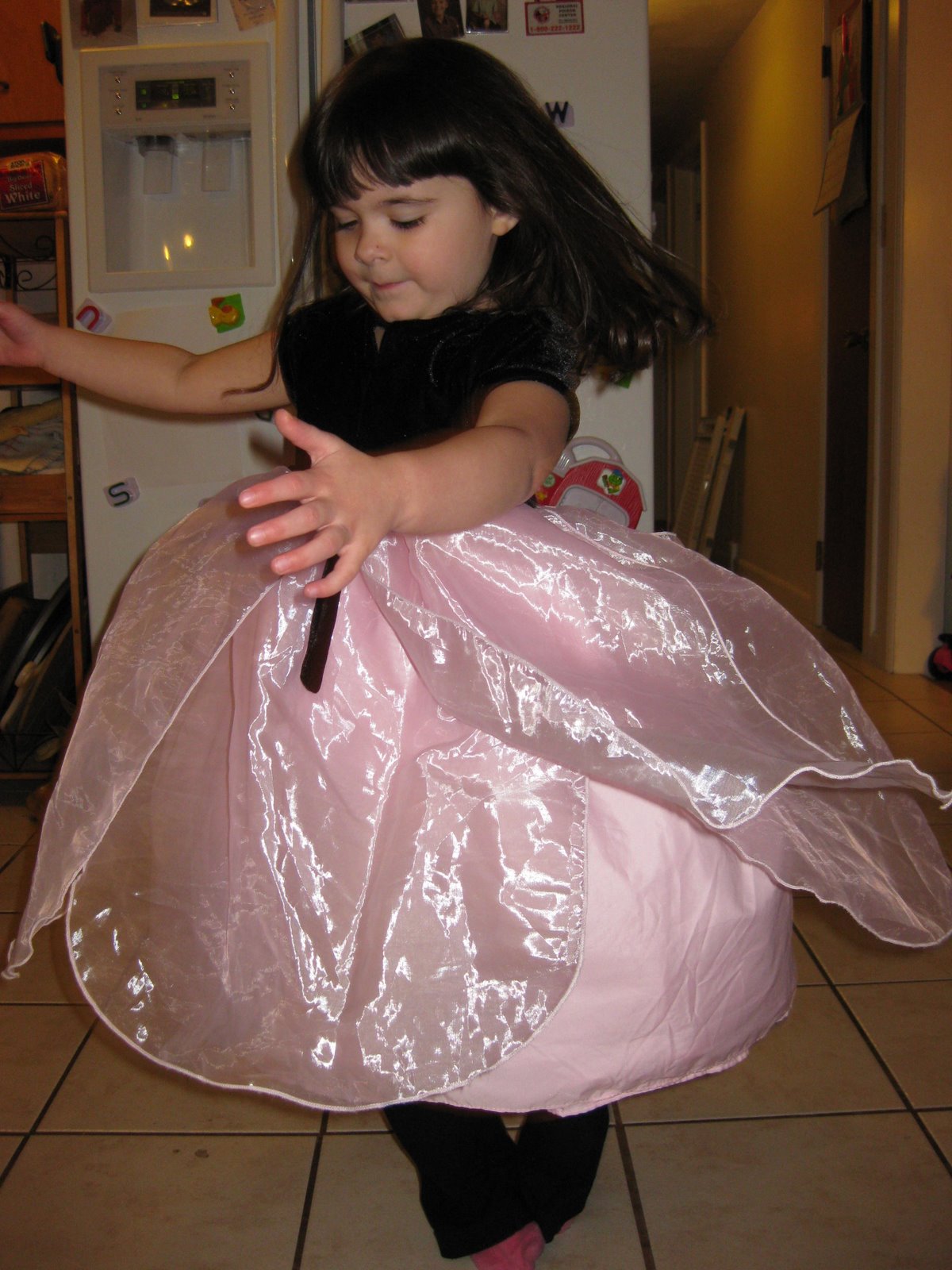 [IMG_8046.JPG]