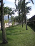 janelas do planeta