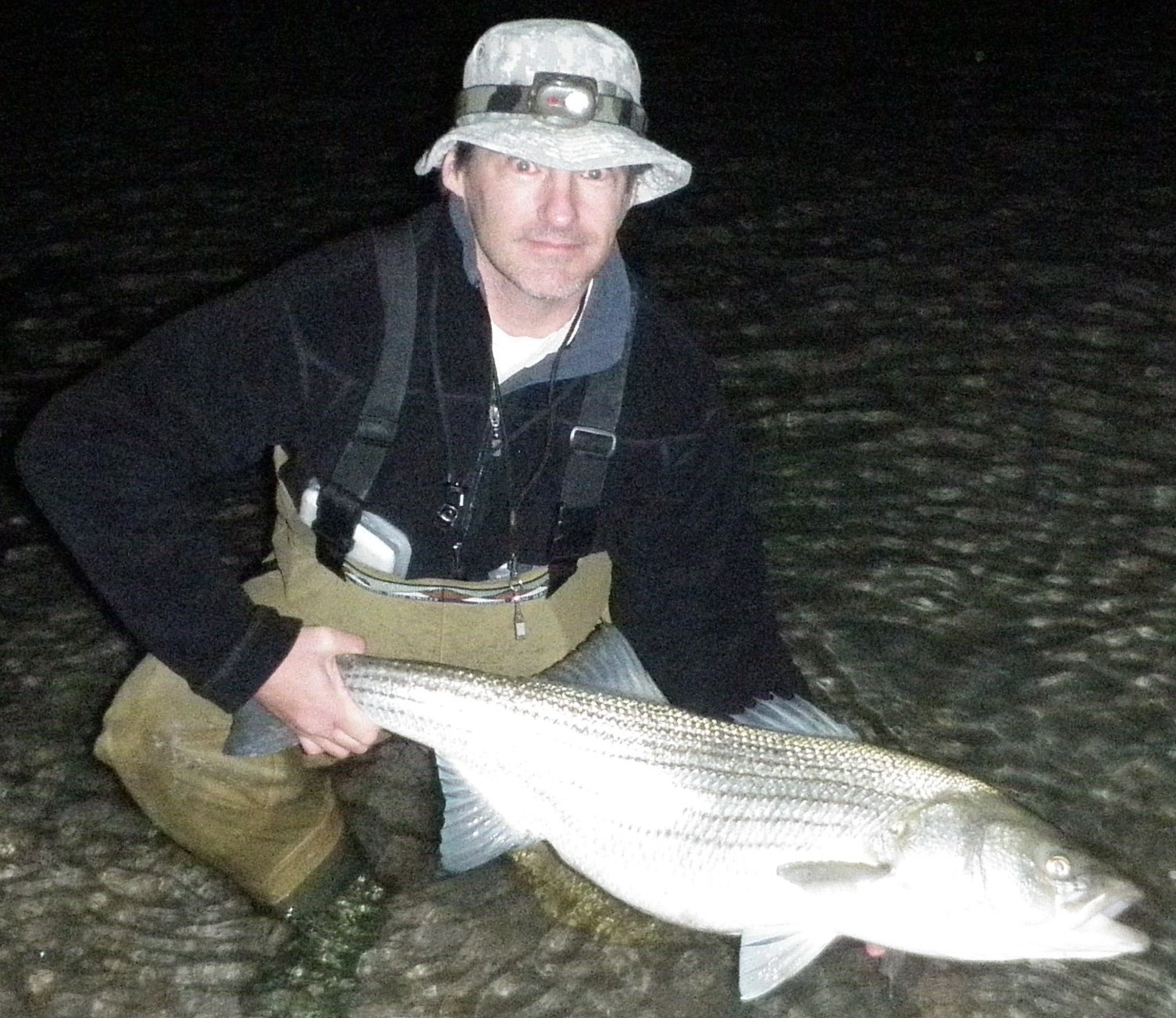 May Striped BassHerring run J.K.'s Flyfishing Blog