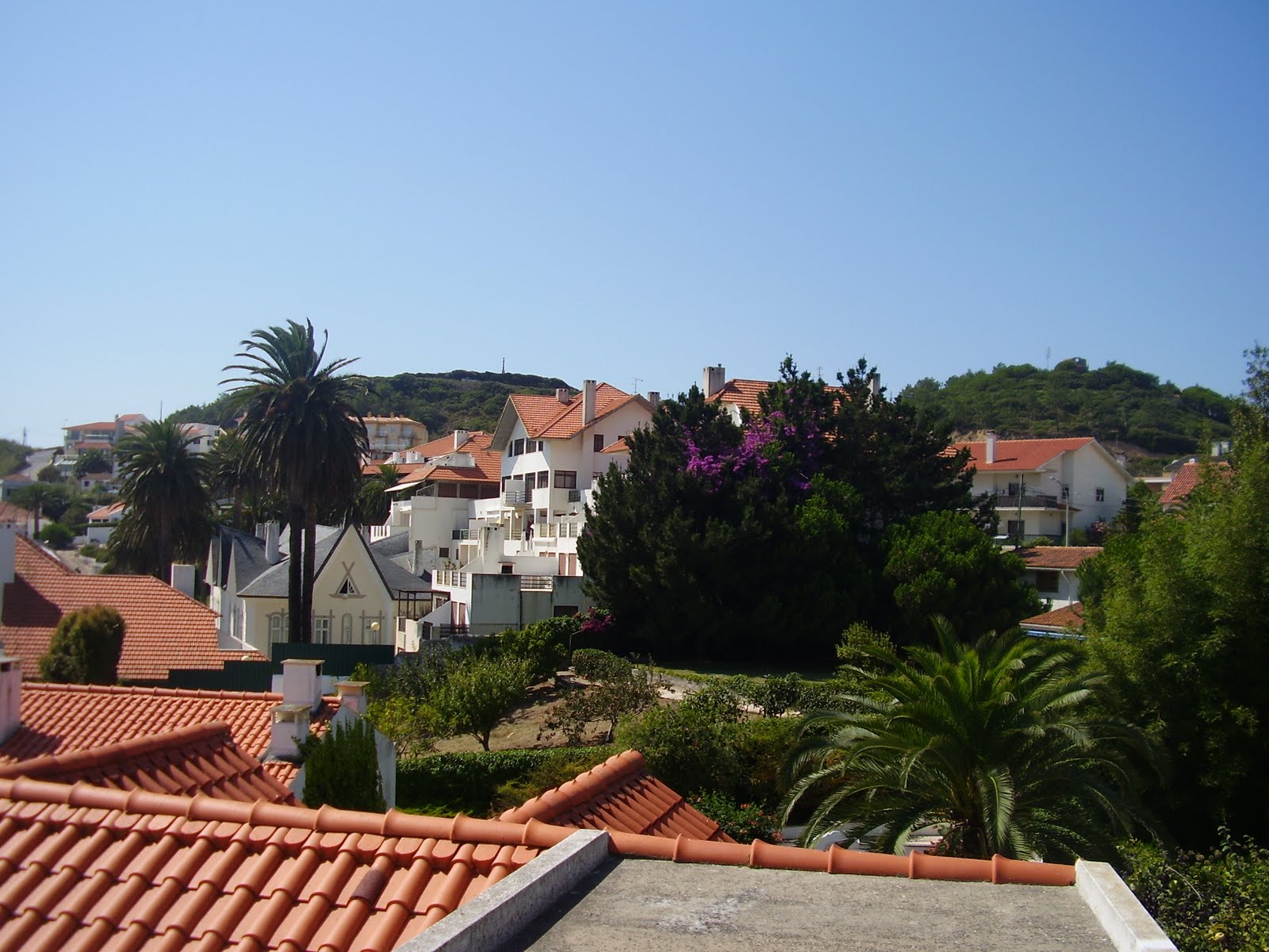 [P8081741.JPG]