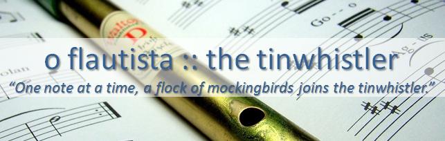 o flautista :: the tin whistler