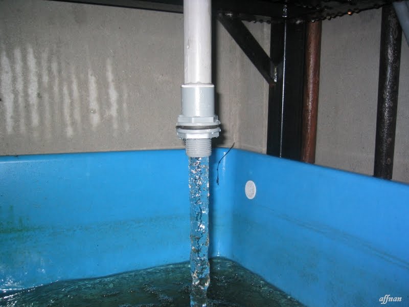 Siphon Picture