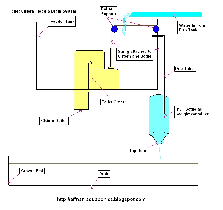 Toilet Cistern Diagram