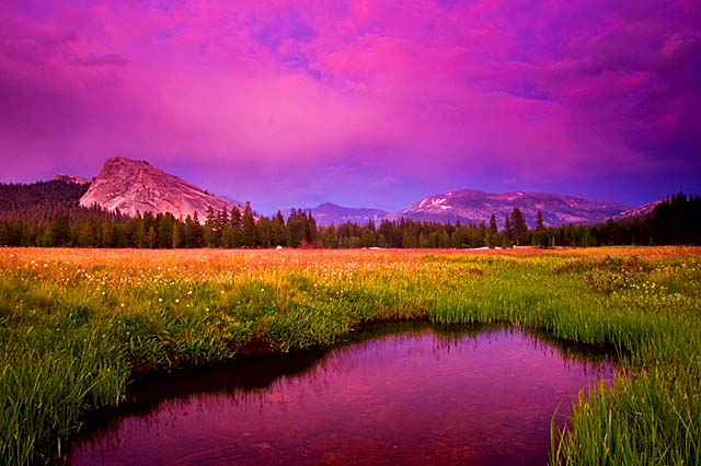 Pink Sunset Pink Sunset