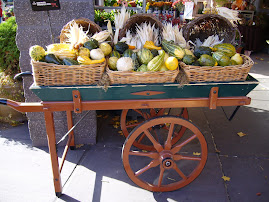 Bountiful Fall Harvest