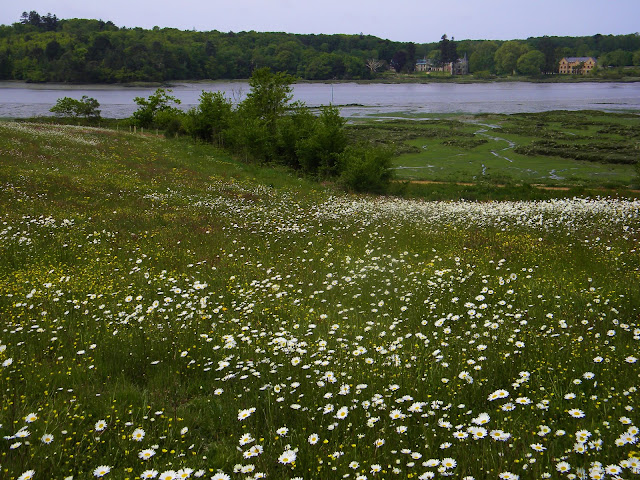 chateau du plessis kaer a vendre