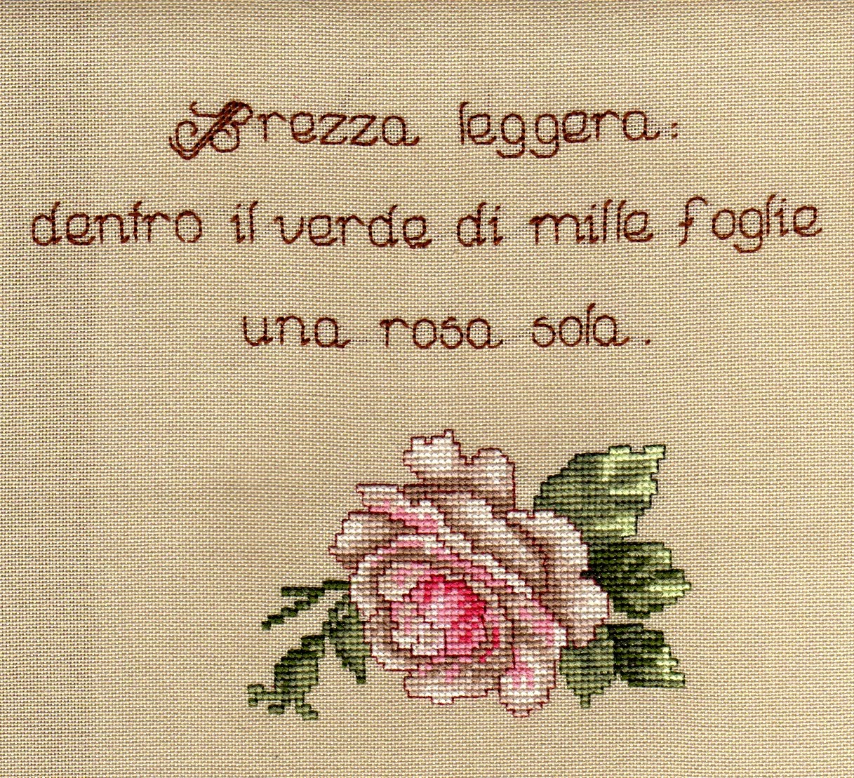 [IMMAGINE504.jpg]