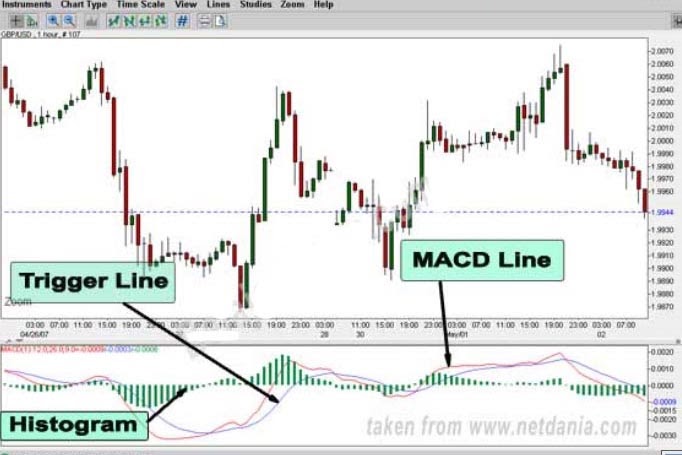 Adakah orang kaya dari forex