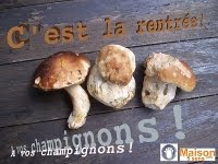 Concours de recettes sur le blog! Du 11 octobre au 14 novembre prochain!