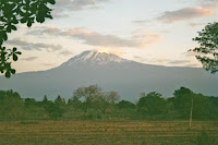 Kilimanjaro