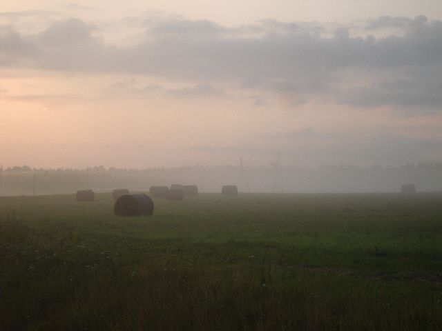 [Jänedal,+siil+udus.jpg]