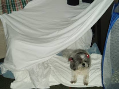 Molly in her tent in Sandy Eggo