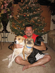 Merry Christmas!! from Athena, Andromeda, Apollo, and Luis