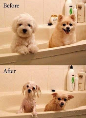 bath time!!