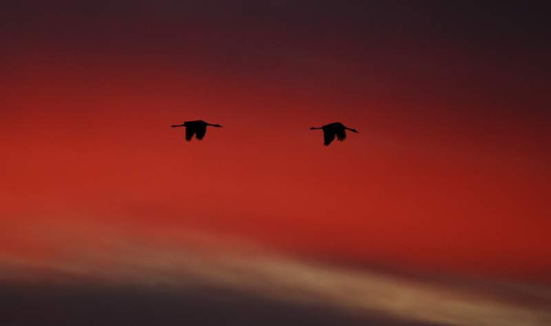 [Copia+de+_EVC4511.jpg]