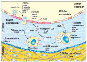 O que e o exame proteina c reativa
