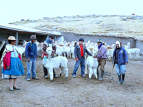 cobertizo para albergar ganado empresas en per 250 ministerio de agricultura construir 225 cobertizo para albergar ganado empresas en per 250 ministerio de agricultura construir 225
