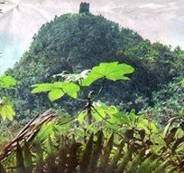 EL YUNQUE: RESERVA DE LA BIOSFERA DE UNESCO DESDE 1976