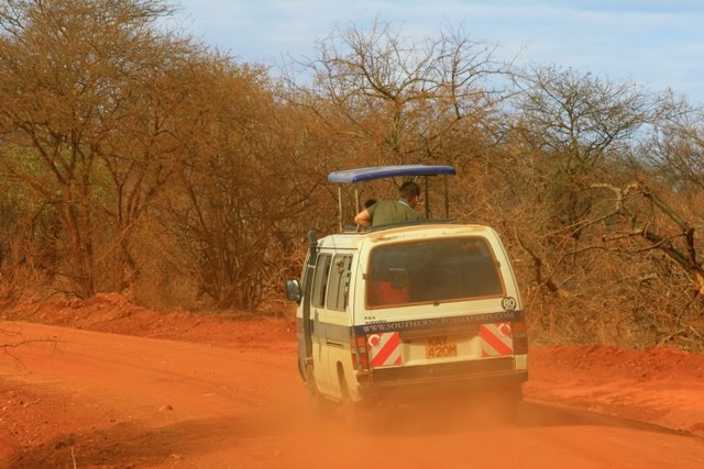 [KenyaBest3.jpg]