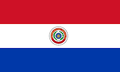 Bandera del Paraguay Inmortal