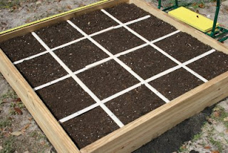 Best Garden Blog: Square Foot Gardening