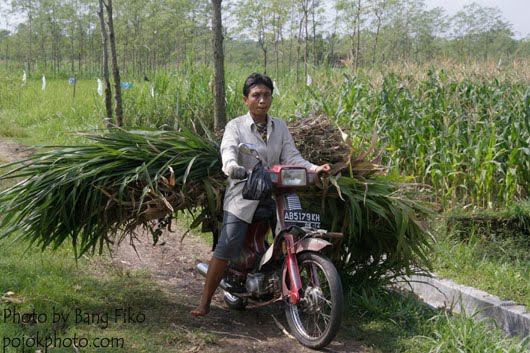 Gunungkidul | Negeri para pekerja keras | Wanita tangguh |