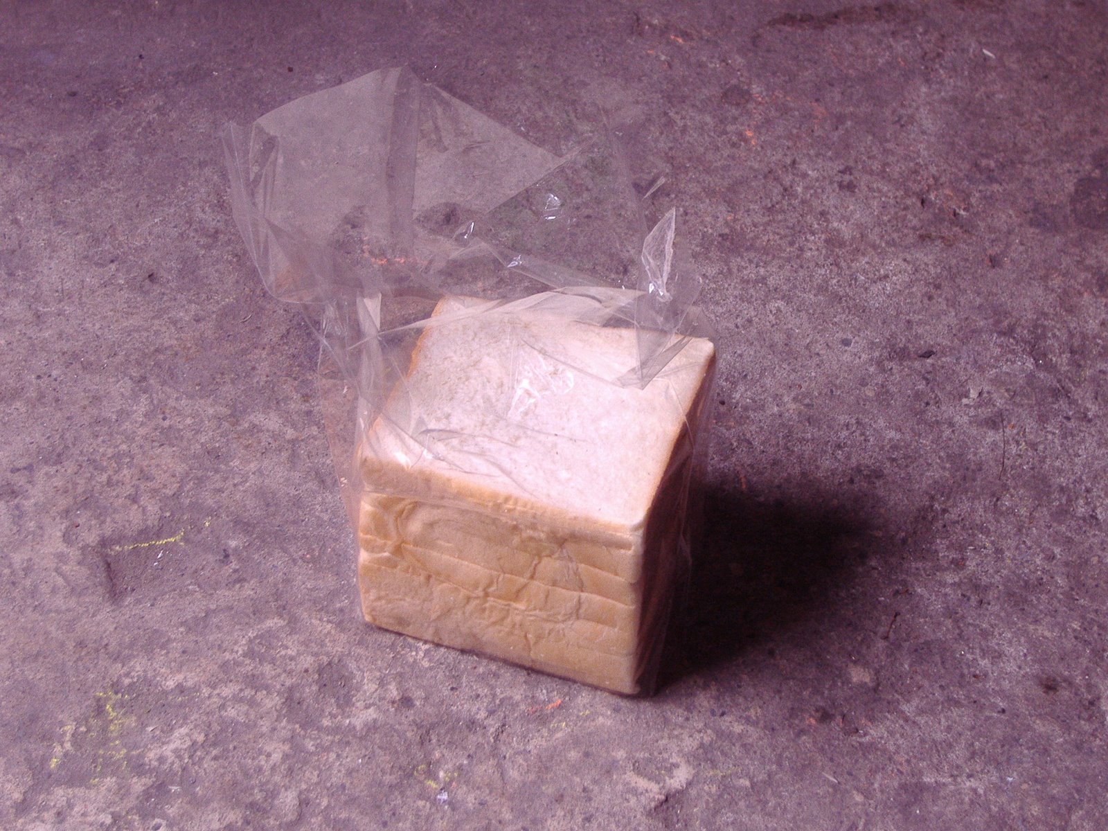 [PB210058.JPG]