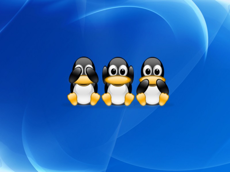 girlfriend wallpaper linux wallpaper linux vs windows. girlfriend wallpaper linux