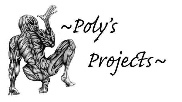 Poly's Projects