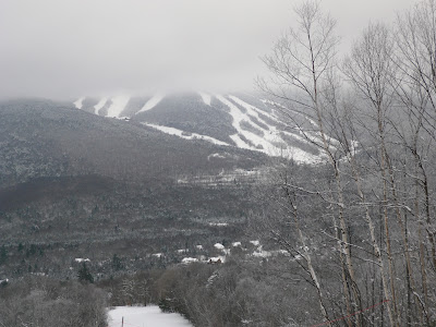 Alpine area across the valley which is about 600ft below