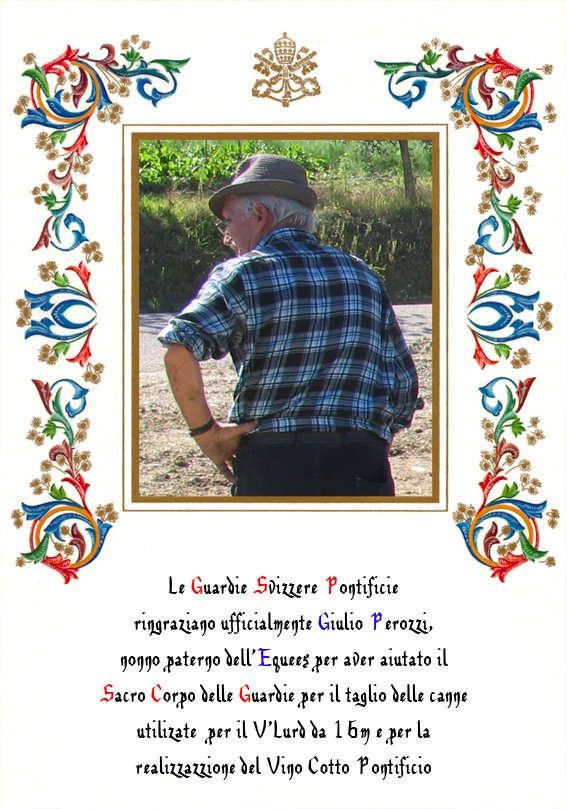 [Originale+Attestato+GIULIO+PEROZZI.jpg]