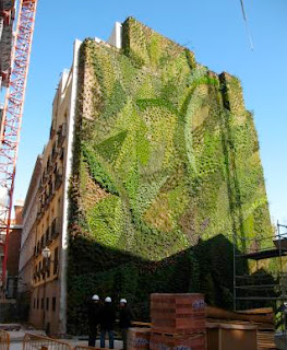vertical_garden.jpg