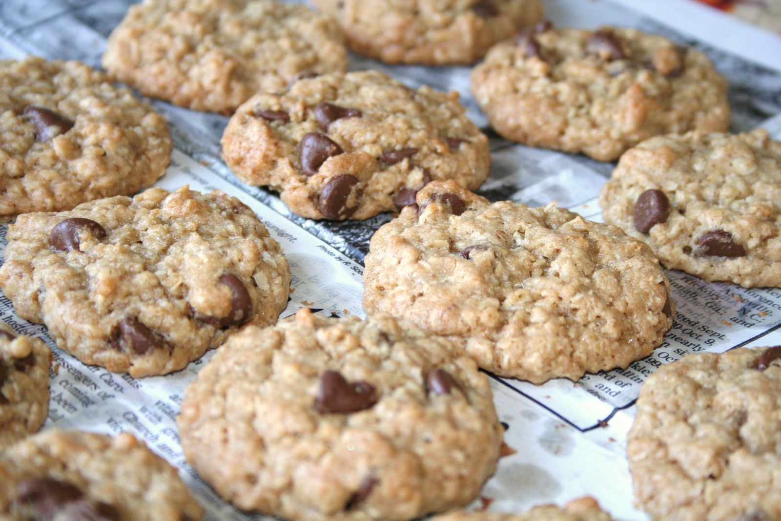 Yummy in my Tummy Chocolate Drop Oatmeal Cookies
