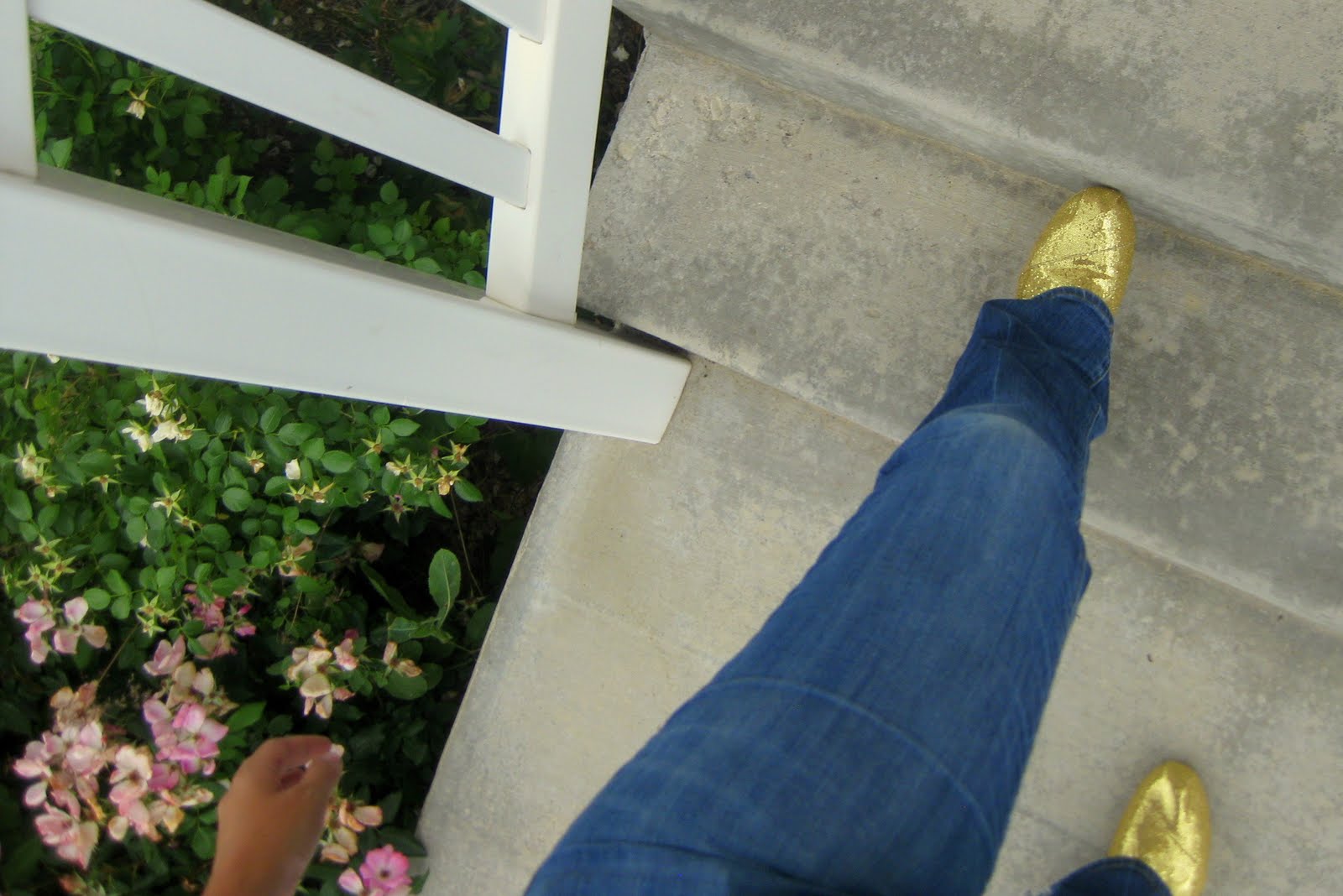 Gold Toms