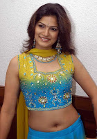 hot-sexy-south-indian-desi-tamil-tv-serial-movie-actress-tarika-heroine-taarika