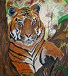 Tiger In The Wood