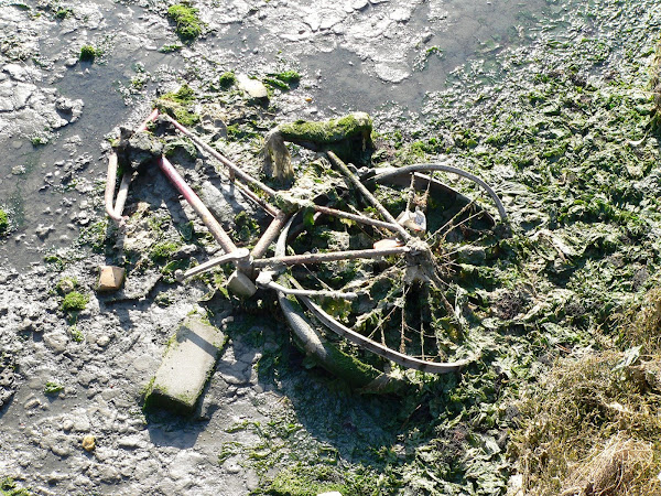 O que resta de uma bicicleta