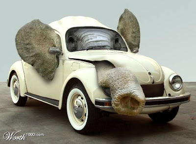 PunBB bbcode test PunBB bbcode test