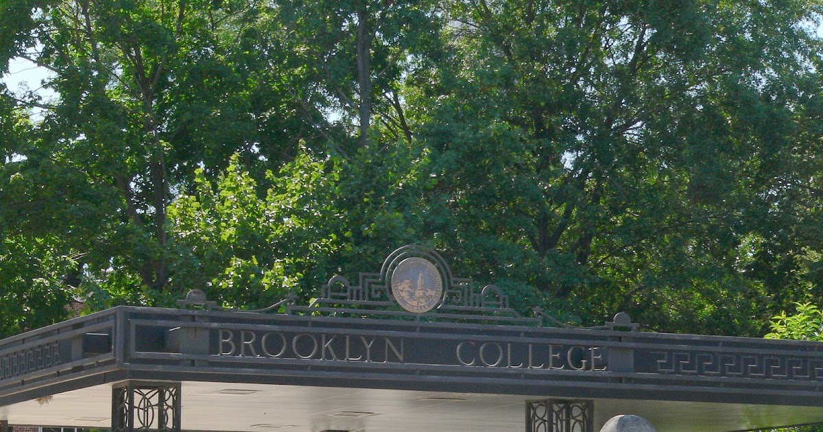 The New York Subway Project 2 Train Brooklyn CollegeFlatbush Ave