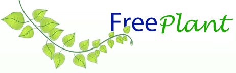 Textual description of firstImageUrl