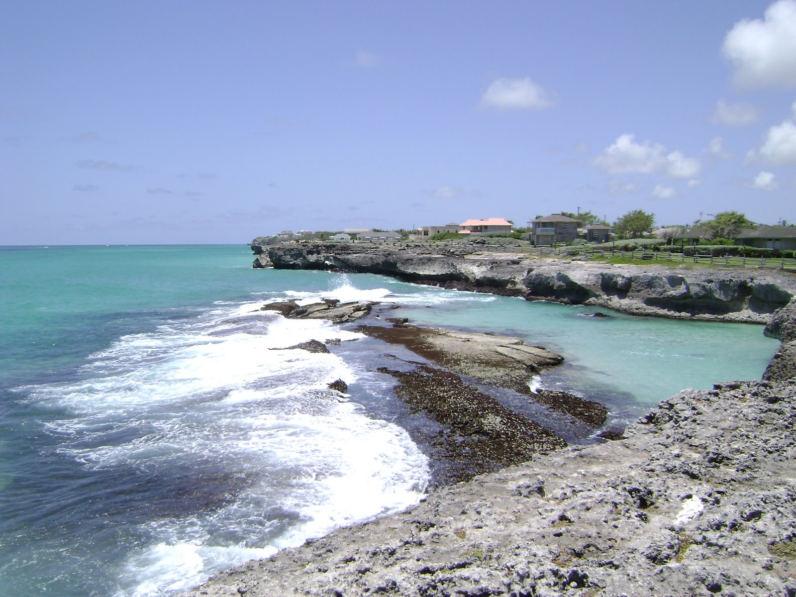 [DSC01322.JPG]