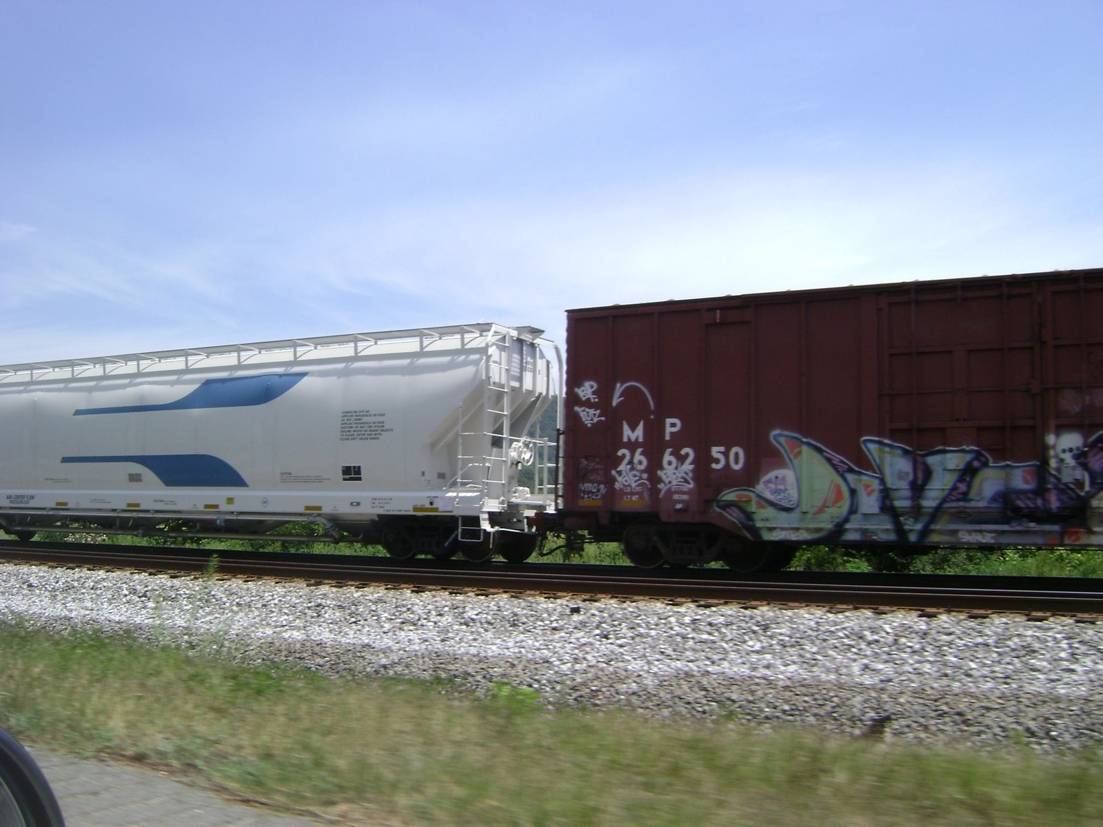 [DSC01307.JPG]