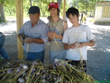 Alumnos de 8º Año trabajando el ajo