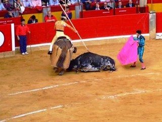 [sorte+de+varas.bmp]