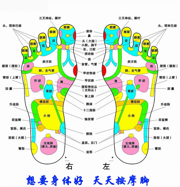 Hong Kong Foot Massage 香港足部按摩