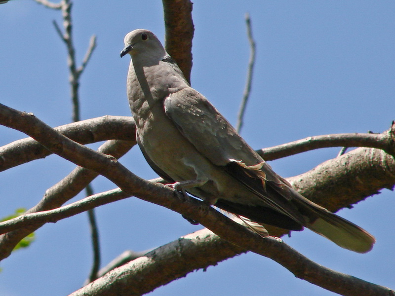 [EUCD+004_resize.JPG]