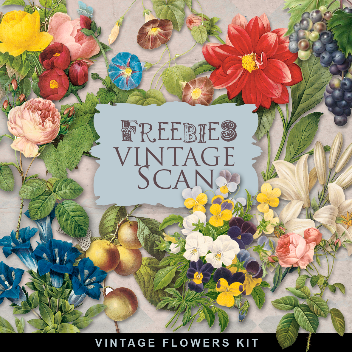 Freebies Vintage Flowers Far Hill Free database of